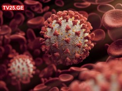 კორონავირუსი