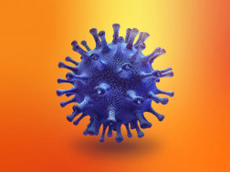 კორონავირუსი