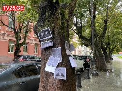 ენმ-ს აქცია